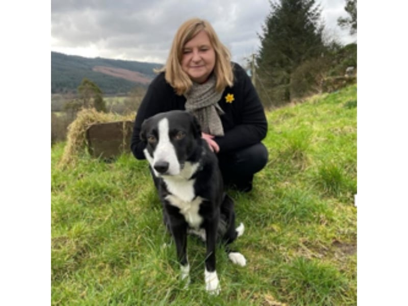 The Argyll & Bute MSP said: "Jim is handsome, smart, good fun and affectionate. He's a great advert for the joy that a dog can bring to people. "