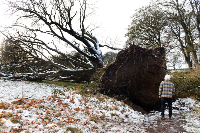 The aftermath of Storm Arwen is shown at Mere Knolls Cemetery in November 2021.