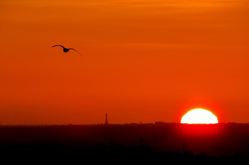 A stunning image of Blackpool Tower from Tockholes in Darwen.