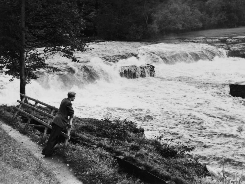 The wonder of Aysgarth Falls in October 1954.