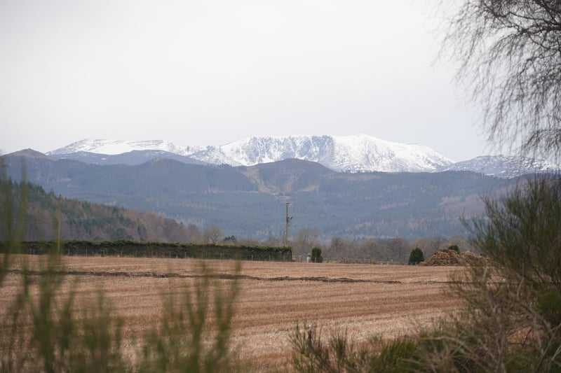 If you're walking the Deeside Way going from west to east, remember to look back over your shoulder for the views. Depending on the weather, in spring you can see the snow-capped mountains in the Cairngorms from the path. I took this photo not long after leaving Ballater. 