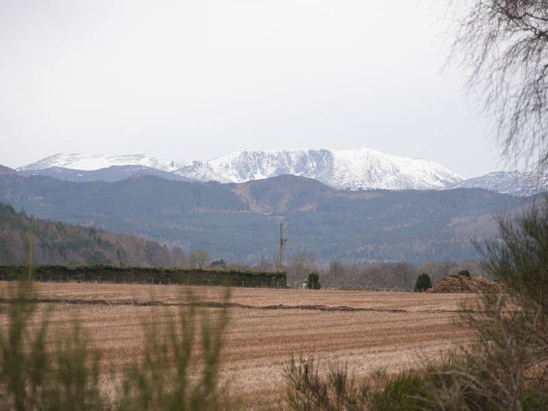 If you're walking the Deeside Way going from west to east, remember to look back over your shoulder for the views. Depending on the weather, in spring you can see the snow-capped mountains in the Cairngorms from the path. I took this photo not long after leaving Ballater. 