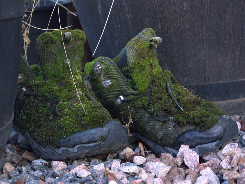 My boots haven't got to this stage (yet), but I found this pair outside Ballater hostel during Hay's Way in Aberdeenshire. The accommodation is tucked away in a quiet street and offers a bed in a dorm for £20. There are also private rooms available for a bit more. Having not booked online prior to arriving, I found a mobile number in the door which I rang and the owner came to let me in at very short notice. I gather it gets busy in high season so if you're thinking about visiting the area, book online first. It was just myself and two workmen from Glasgow staying the night I was there. After chatting in the hostel's communal areas, the pair offered me some takeaway Chinese and a can of lager but I chose to try the Fish Shop, a new restaurant in town that has been open for about a year and which I recommend. 