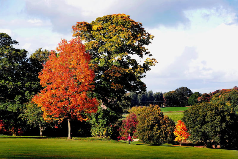 What ChatGPT said about Adel: Quiet suburban feel, green space, good for families and those wanting calmer life.