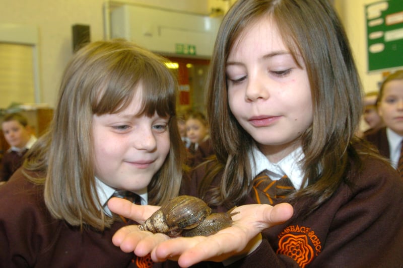 Blackpool Zoo's Zoo2U visits children at Roseacre Primary School in Blackpool. Pupils Emma Campbell (8) and Amy Baron (8) with a snail. 