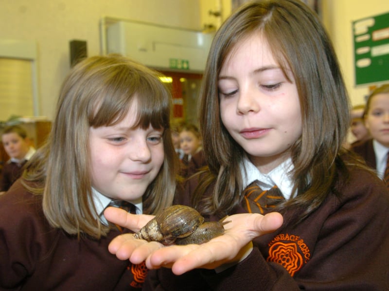 Blackpool Zoo's Zoo2U visits children at Roseacre Primary School in Blackpool. Pupils Emma Campbell (8) and Amy Baron (8) with a snail. 