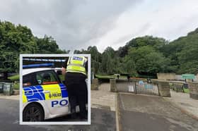 Police say they have had reports of youths who are causing concerns near Endcliffe Park Sheffield, and are going to step up patrols. Photo: Google