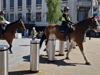 Watch as mounted police officers control their horses while on patrol at the World Snooker in Sheffield