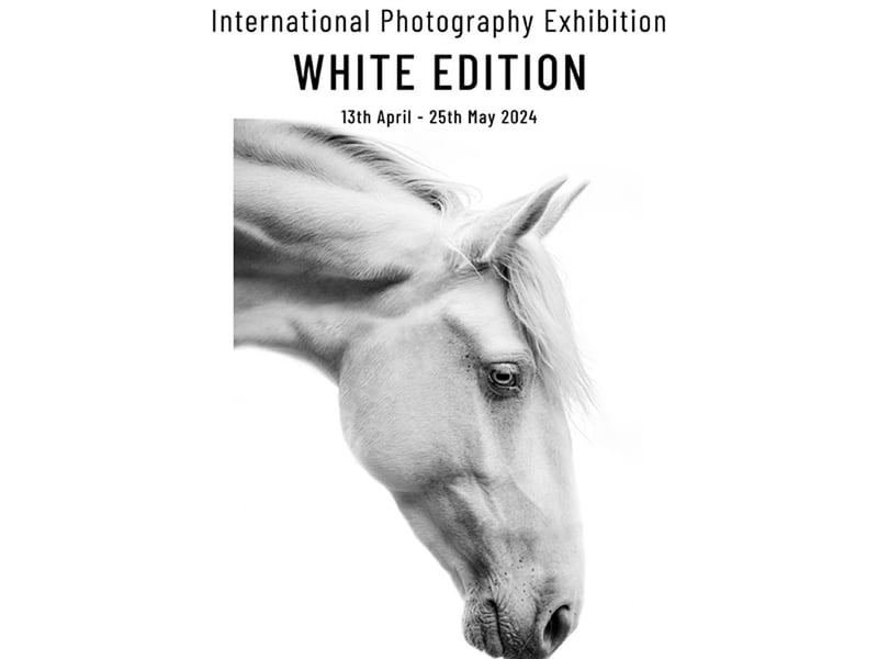 The Glasgow Gallery of Photography presents a six week long exhibition called The White Edition which will end on May 25. 