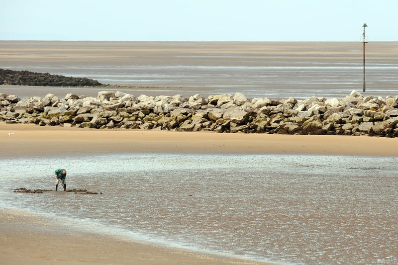 A man digs in the wet sand for cockles on a beach at Leasowe in 2009.