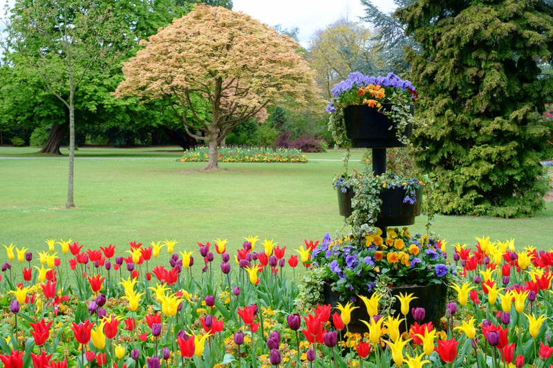 One of the biggest and best parks in Birmingham, Cannon Hill is centred in Moseley, and has been awarded Green Flag status. With stunning lakes, flowerbeds, and woodland, the 80+ acre park is a perfect picnic venue. 