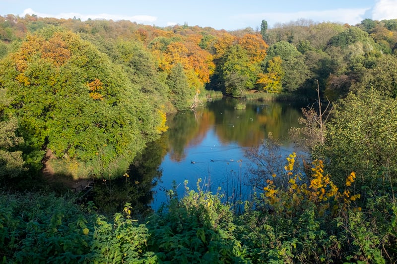 This beautiful park in Halesowen offers a tranquil setting for a picnic. A mixed woodland with lovely ponds and plenty of wildlife.