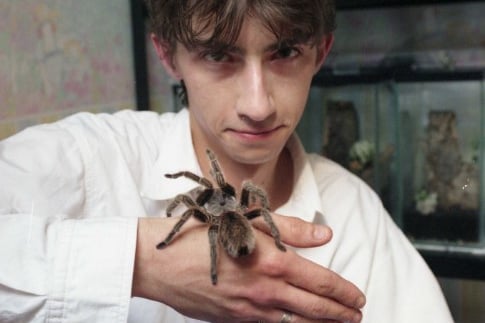 Paul Nieuwint and his business partner set up a firm which specialised in spiders in 1995.
Here is Paul with a Chile Rose Tarantula.