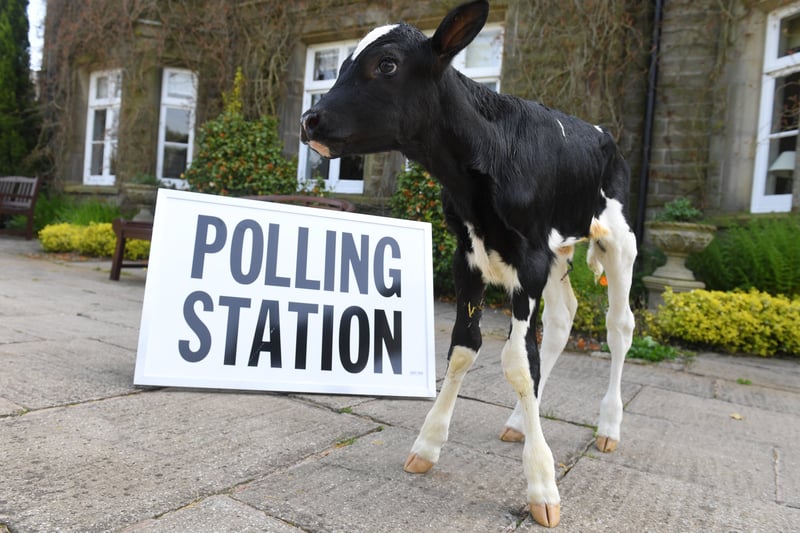 Polling stations across the country are open from 7am until 10pm.