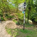 Police and council chiefs will face the public at a meeting to discuss anti-social behaviour after weeks of trouble involving teenagers in and near Endcliffe Park.