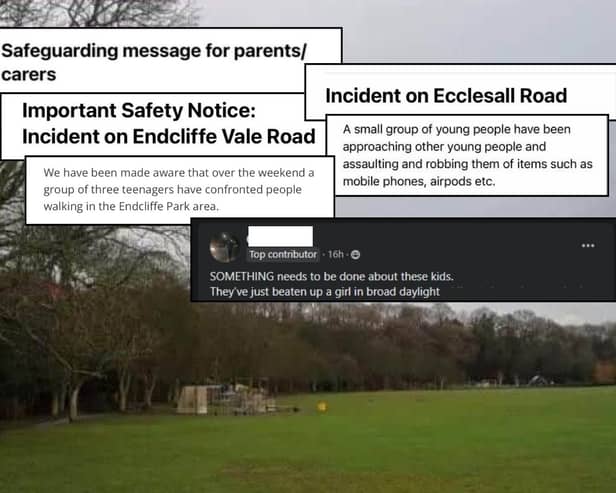A total of at least seven letters have been sent home to parents by Sheffield schools over violence at the hands of teenagers in Endcliffe Park.
