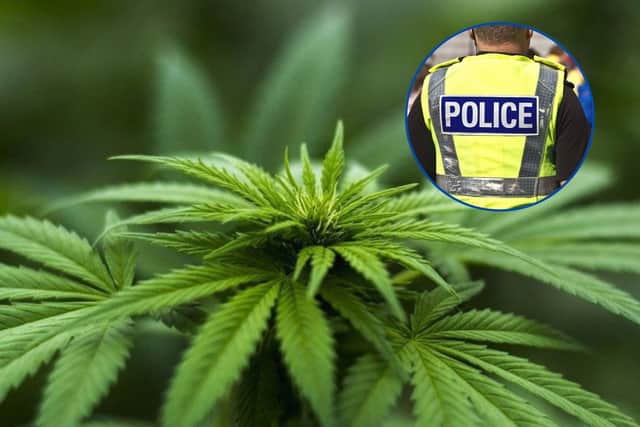 £200,000 of cannabis was recovered by police during a week of action in Sheffield, which began on April 19, 2024 