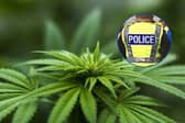 Cannabis worth £200,000 was recovered by police during a week of action in Sheffield, which began on April 19, 2024 