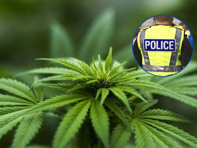 Cannabis worth £200,000 was recovered by police during a week of action in Sheffield, which began on April 19, 2024 