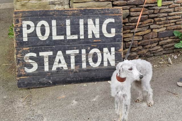 A dog at a Sheffield polling station on May 2, 2024.