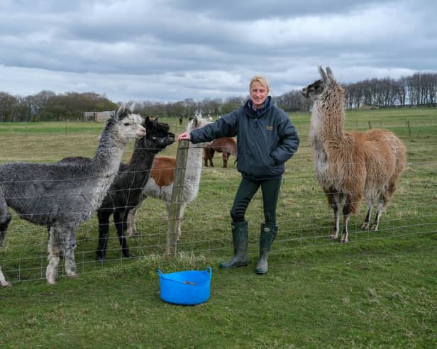 Elaine Sharp at Mayfield Alpacas, in Ringinglow, Sheffield