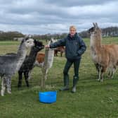 Elaine Sharp at Mayfield Alpacas, in Ringinglow, Sheffield