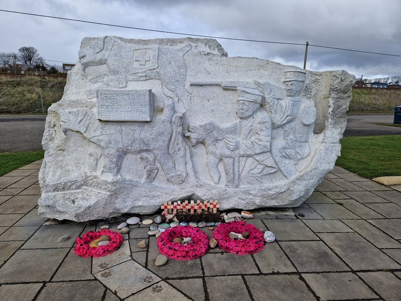 A sculpture of Airedale terrier dogs, hewn from a 30 ton block of granite, to commemorate Airedale terriers and the soldiers they served beside in World War One can be found on the seafront at East Haven, Carnoustie. The dogs were taught to use gas masks as part of their training, and were mainly used to carry messages in the trenches. There is one story of an Airedale named Jim who was trained to alert to the sound of Zeppelins. It has been reported on May 16, 1915, Jim's loud barks raised the alarm of an approaching Zeppelin carrying a payload of bombs. Because of his early warnings, nine biplanes from the Royal Naval Air Service were able to chase the Zeppelin away. There is an Airedale Terrier Club of Scotland which started just after the war and has about 100 members today.