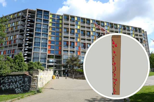 Sheffield's Park Hill flats, where a temporary climbing wall, inset, is planned on the lift tower for an event called Climbing at the Sky's Edge