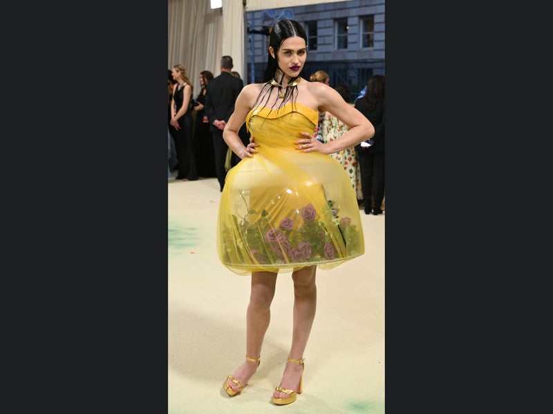 Amelia Gray attends The 2024 Met Gala Celebrating "Sleeping Beauties: Reawakening Fashion".
