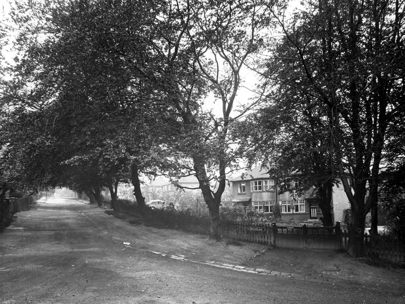 Homes on Hollin Lane pictured in September 1938.,