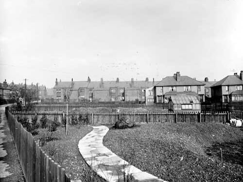 Gardens in Ash Road, showing curved path of crazy paving, newly-planted shrubs, sapling, greenhouse. Semis and terraced houses to rear of picture. Pictured in March 1936.