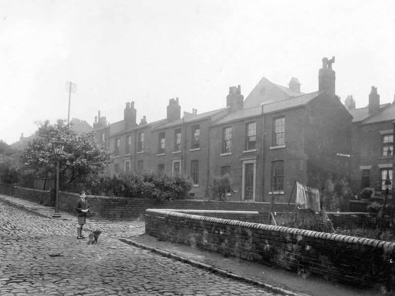 houses on St. James Square, with an unidentified road between. A boy holding a dog on a lead is standing on the cobbled road in the foreground. There is a street lamp just behind. Gardens in front of the houses on the left are surrounded by trees and bushes. The garden on the right has some washing on the line. This site would become the Civic Hall. Pictured in July 1930.