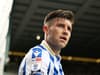 Sheffield Wednesday attacker a wanted man as Owls talks continue