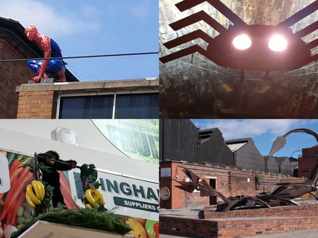 These are some of the strange sights you can spot around Sheffield