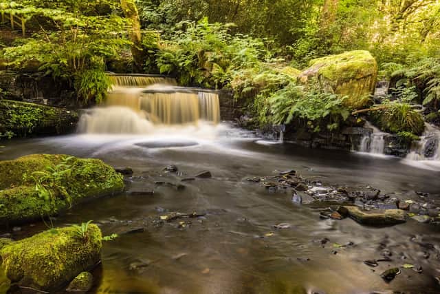 The Rivelin Valley nature walk in Sheffield has always been a popular nature walk among residents and tourists. With many things to do on the trail, including a recreational park and cafe, the trail also has some stunning waterfalls that are truly fantastic sights