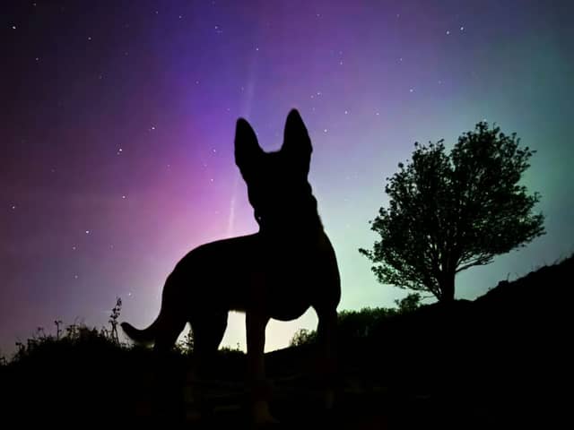 This spectacular picture, showing the silhouette of the patrolling pooch against the magical backdrop of the aurora borealis, was taken by officers working on South Yorkshire Police’s Operational Support Unit on Friday night (May 10), as a geomagnetic storm erupted, creating the best show of the Northern Lights in the UK for 20 years.