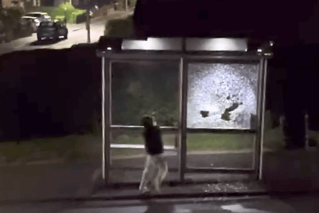 One child, with two others on bikes nearby, seen smashing glass in the bus stop on Fox Lane.