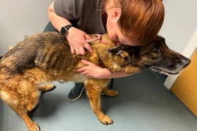 Annie was being cared for by staff at Helping Yorkshire Poundies in Rotherham
