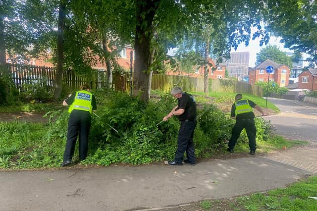 Police conducting weapon search in the Headford Gardens area of Sheffield city centre, where a knife was found concealed in some bushes
