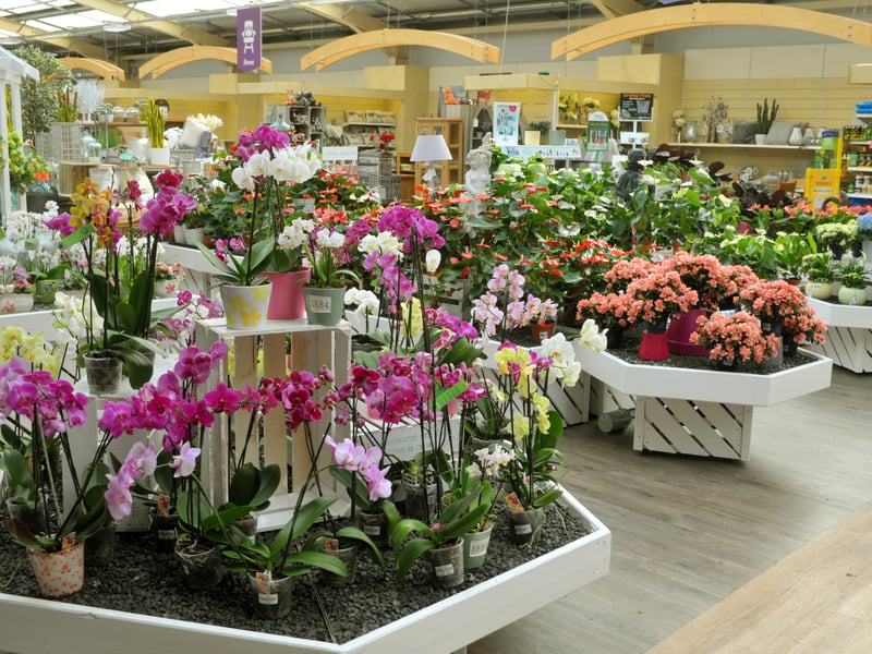 Tong Garden Centre, just over the border and situated between Bradford and Leeds on Tong Road, was chosen by YEP reader Ian Ludlow. 