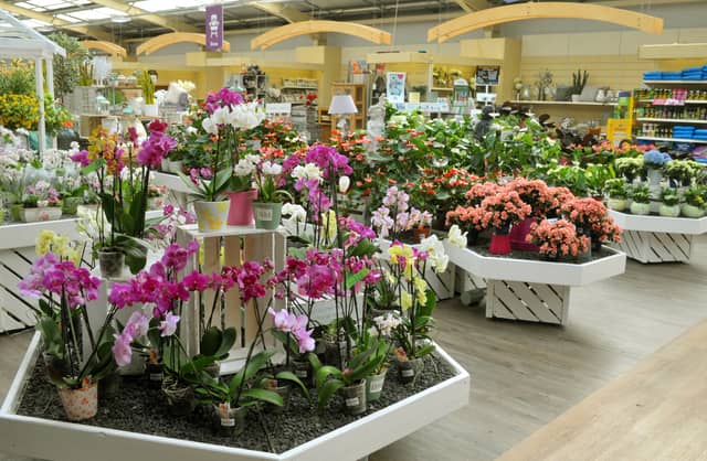 Tong Garden Centre, just over the border and situated between Bradford and Leeds on Tong Road, was chosen by YEP reader Ian Ludlow.