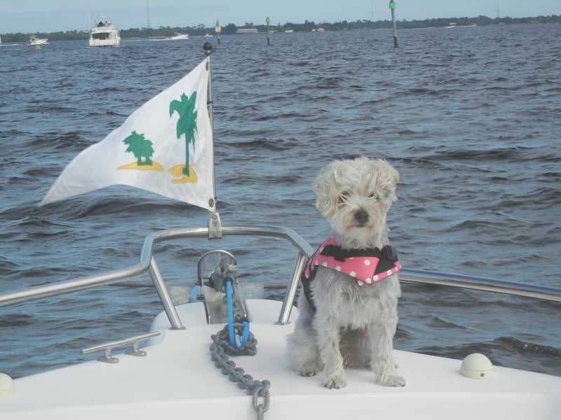 Coco secured the ninth rank in the list.