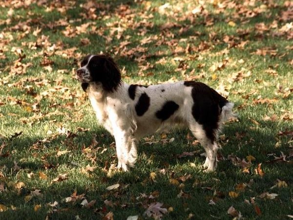 The name Millie ranked 20th in the list.