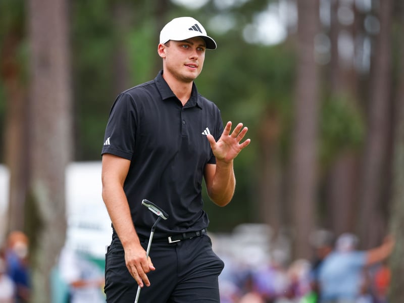 Also with odds of 14/1 is Ludvig Aberg. The Swede was a member of the winning European Ryder Cup last year and finished second in this year's Masters - his first major tournament.