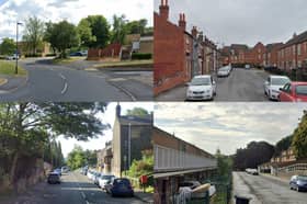 Some of the streets in Sheffield where complaints about dog poo were made to the council, as revealed by a Freedom of Information request