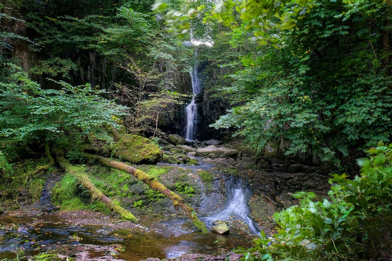 The Yorkshire Dales National Park is another fantastic spot for wild swimming. Pictured is Catrigg Force. The waterfall has 2 main drops of about 20 feet into a pool popular for wild swimming. 
