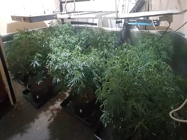 Inside a cannabis farm in Ecclesfield, Sheffield, which was uncovered by police