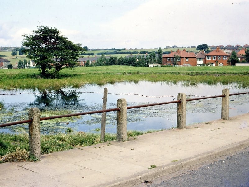 Jude's Pond at the top of Haigh Moor Road in August 1967.. It was a familiar feature and relatively clear at the time this picture was taken. since that time it has gradually infilled with reeds and, although the area is still marshy, there is no longer a stretch of open water there.