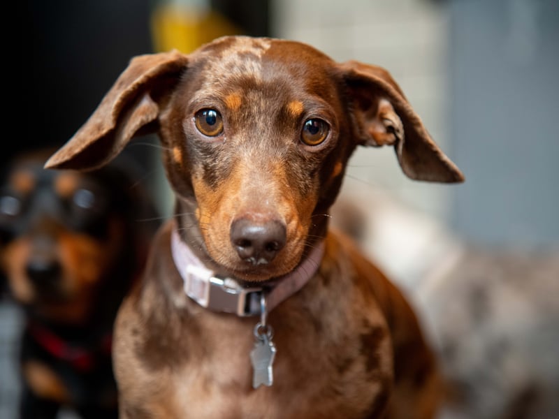 A face that could melt hearts.