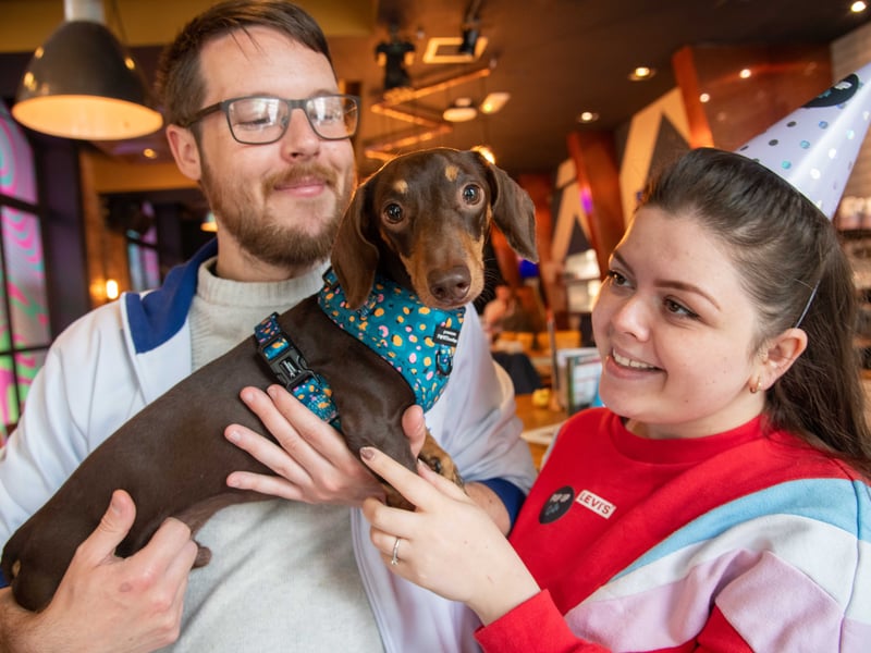 Owners cuddle their Dachshund.